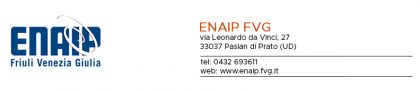 Logo enaip